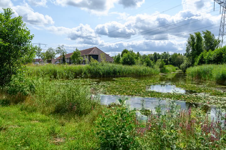 Photo 40 of de Flier 3811