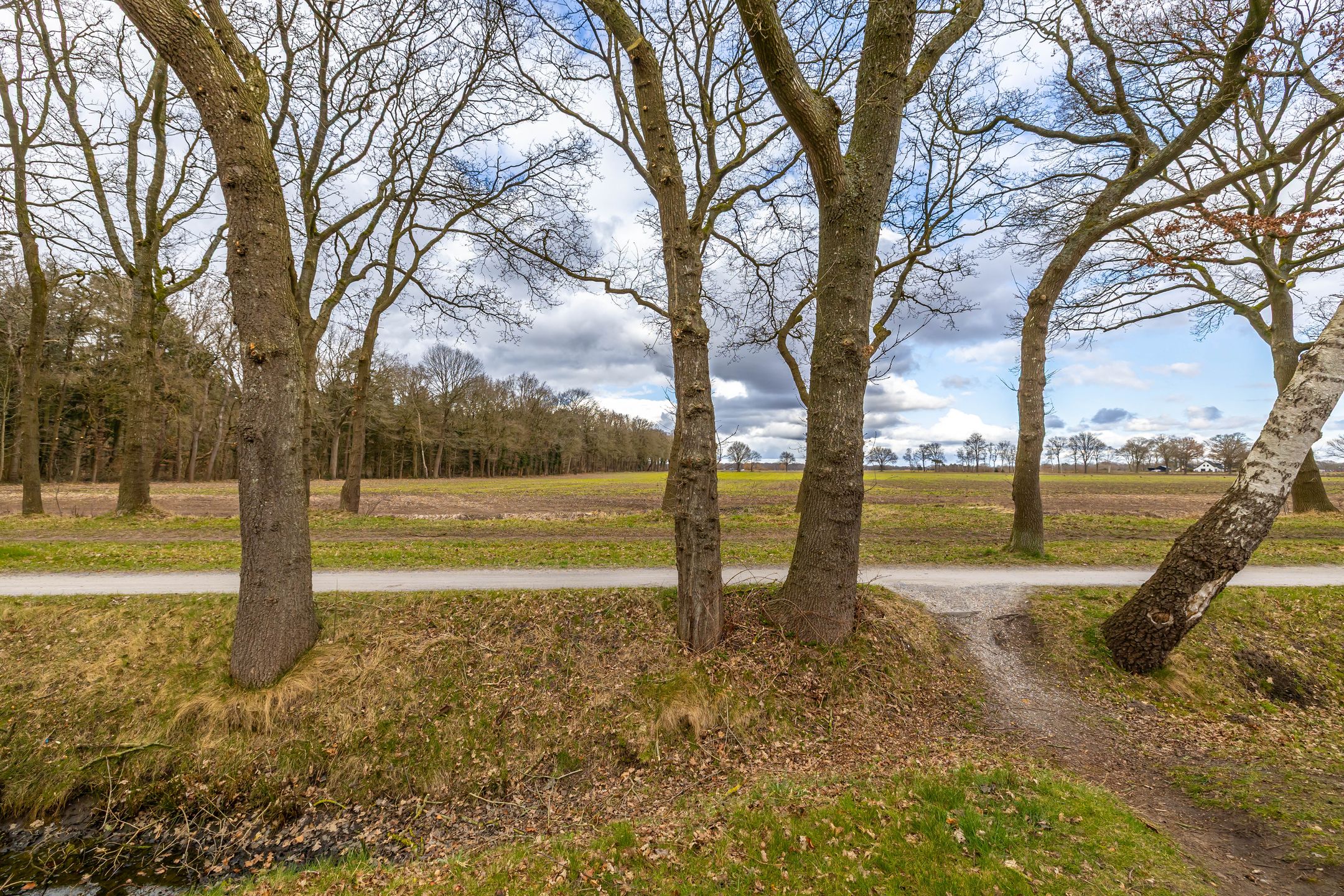 Photo 6 of Leemdobbe 19