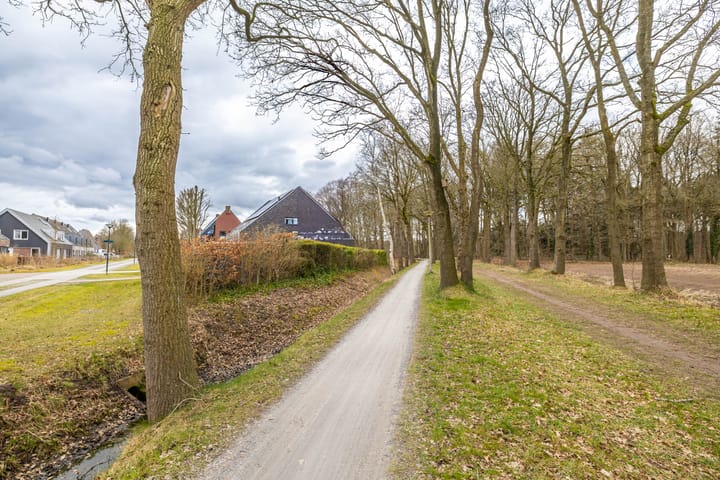 Foto 7 van Leemdobbe 19