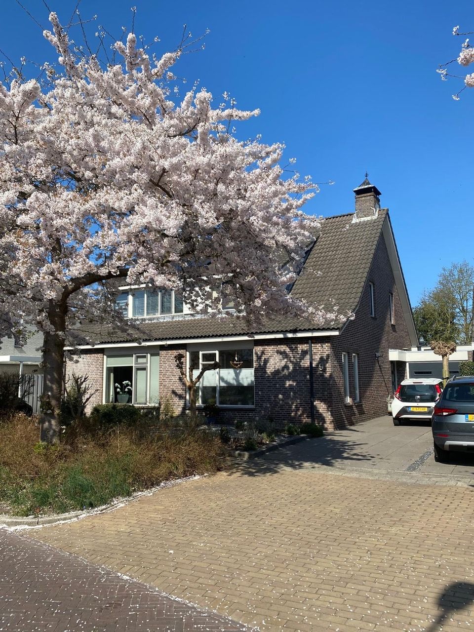 Foto 34 van De Waard 9