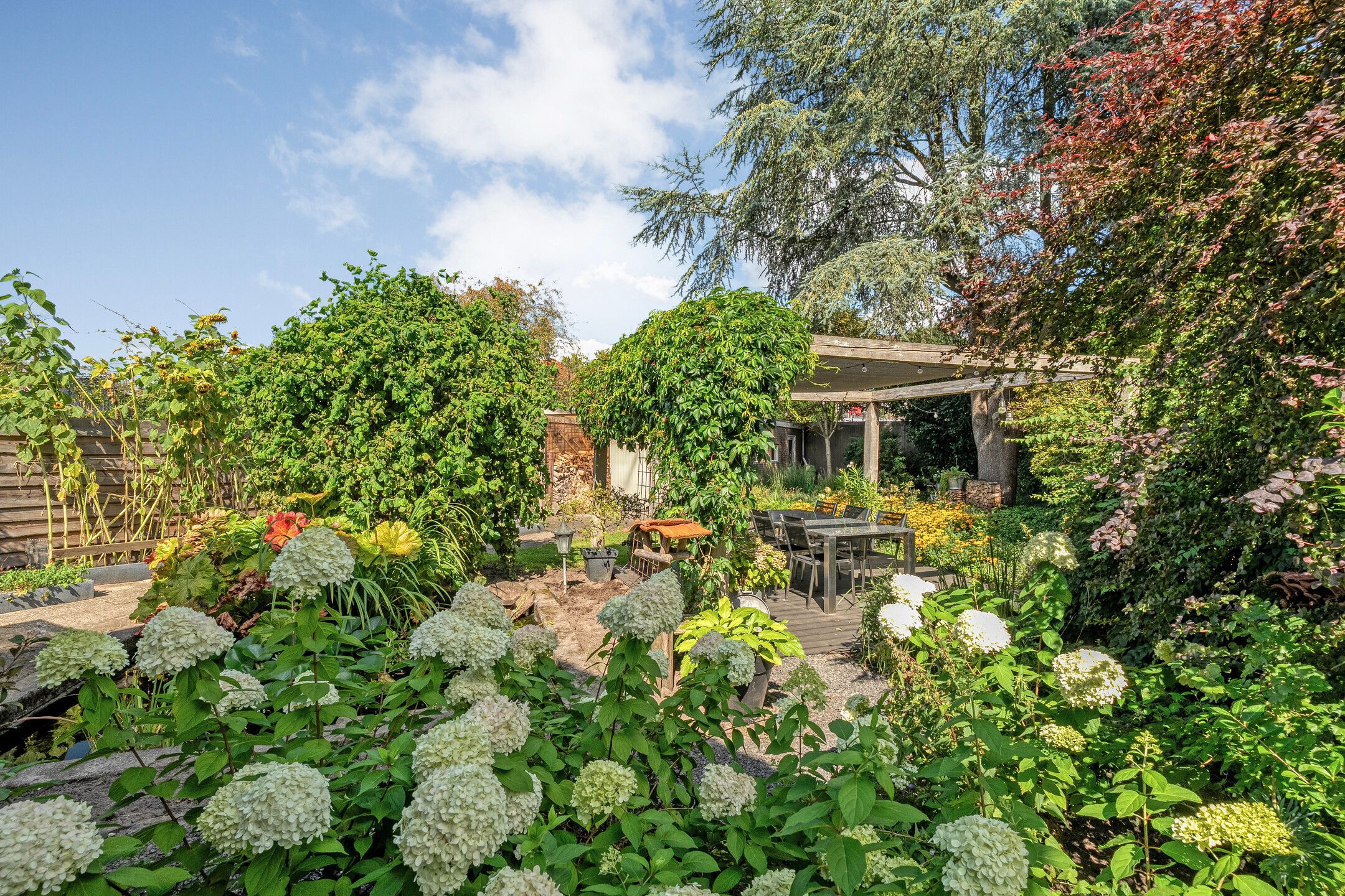 Foto 39 van De Savornin Lohmanlaan 36