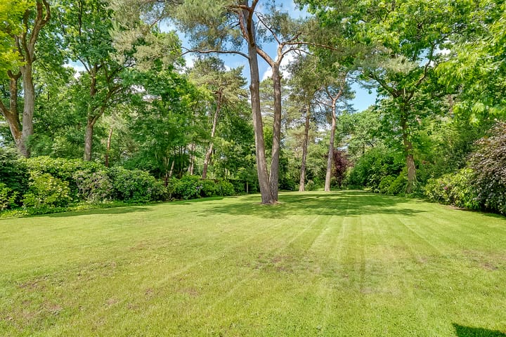 Photo 47 of Taveernelaan 46