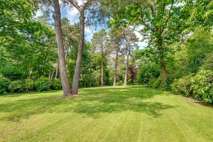 Photo 48 of Taveernelaan 46