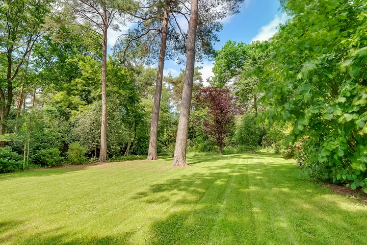 Photo 49 of Taveernelaan 46