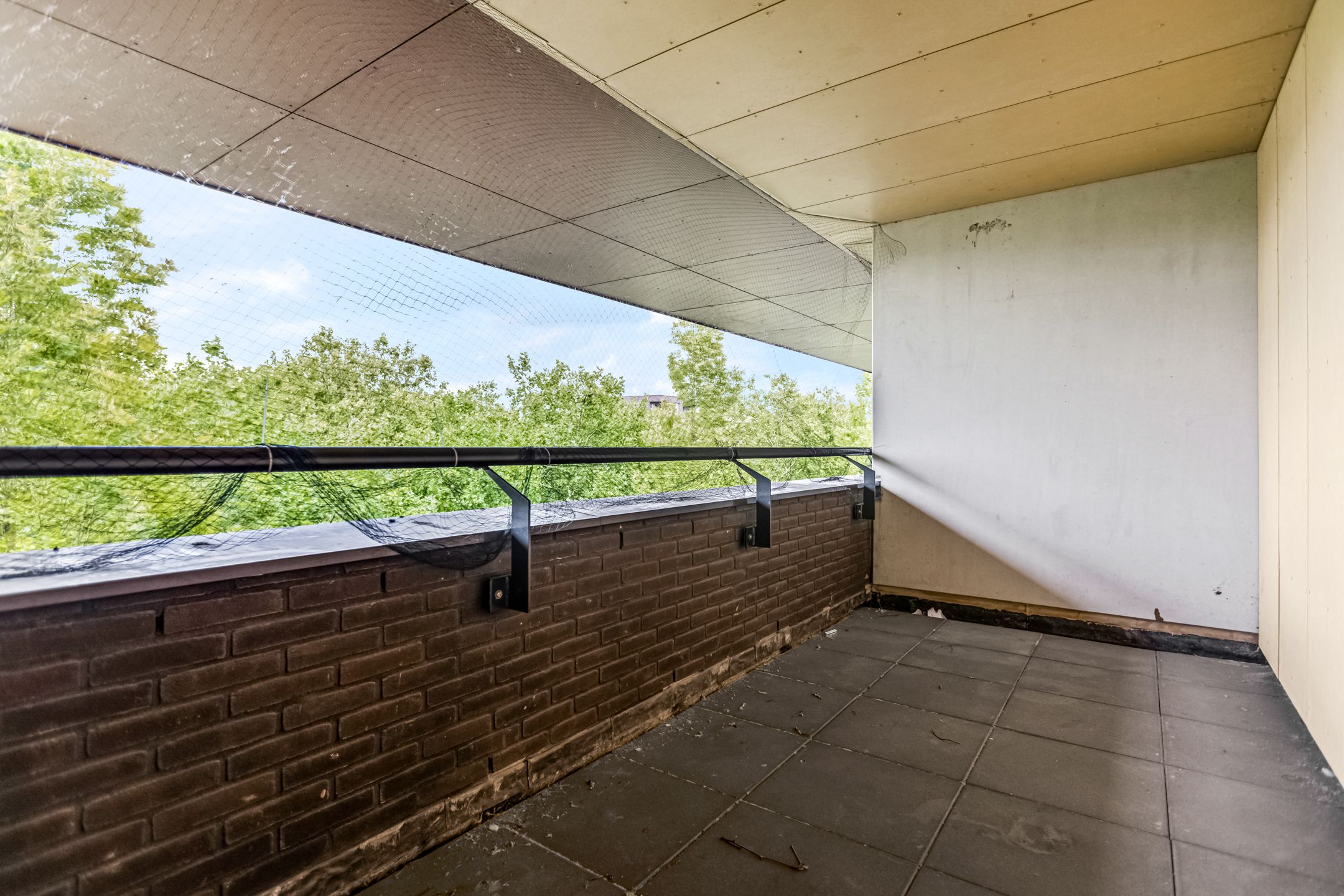 Foto 24 van Wadestein 99