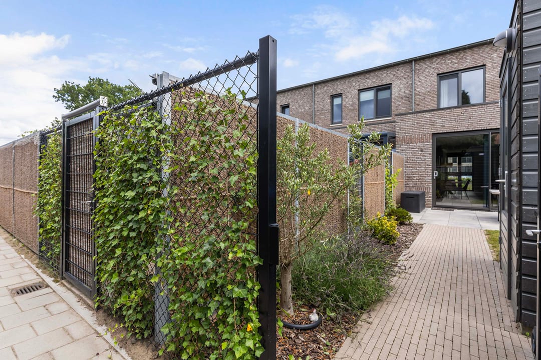 Photo 17 of Frans Halserf 16