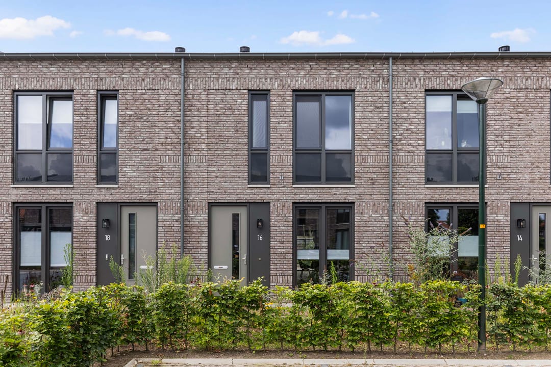 Photo 32 of Frans Halserf 16