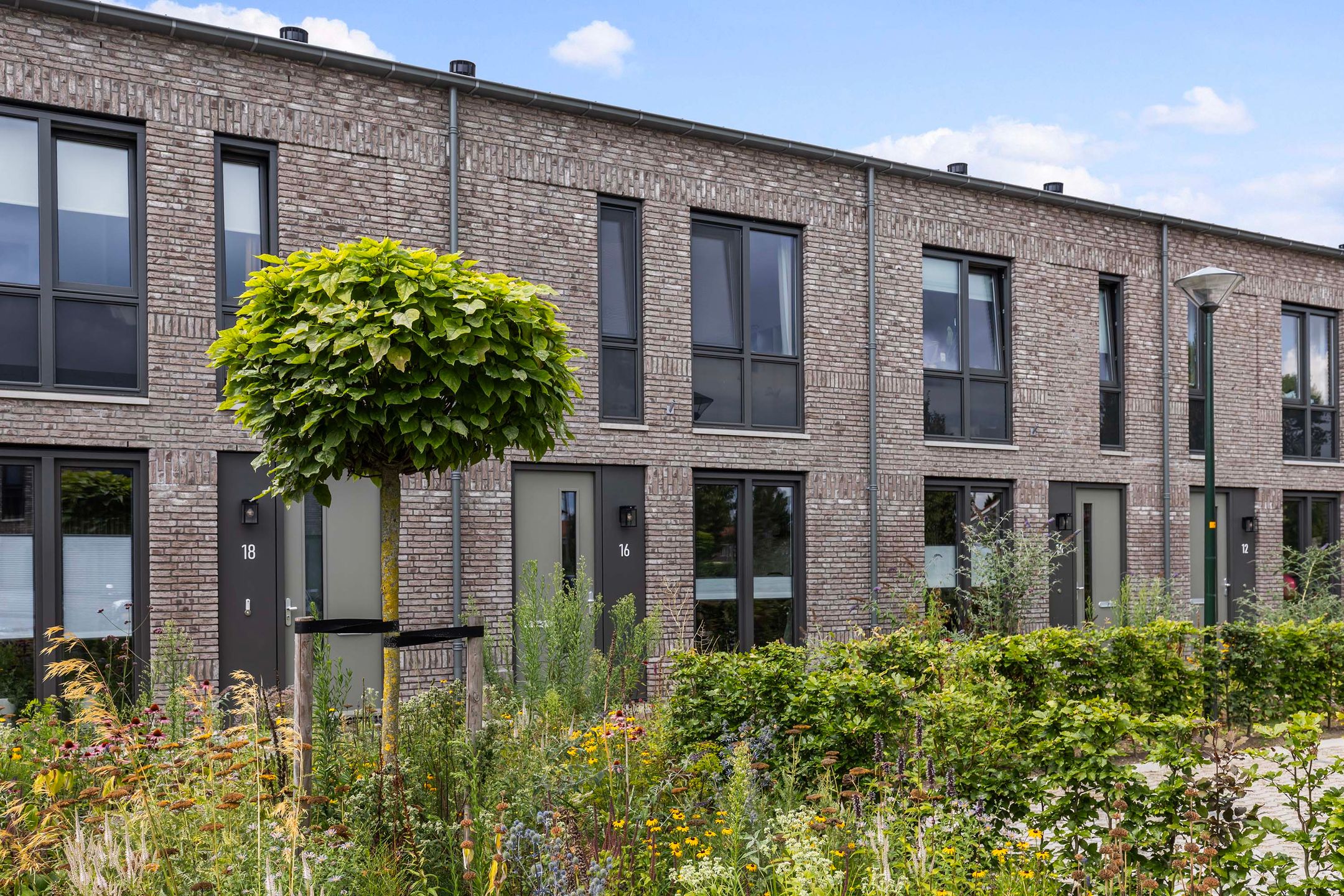 Photo 33 of Frans Halserf 16