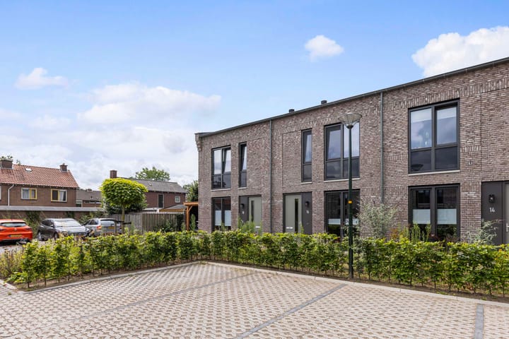 Foto 35 van Frans Halserf 16