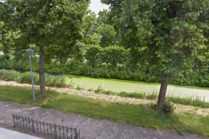 Photo 19 of Hoefblad 69