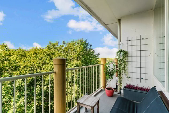 Foto 20 van Euterpedreef 68