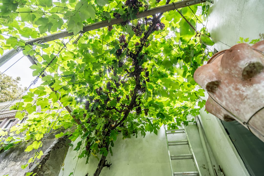 Foto 22 van Koningsplein 87