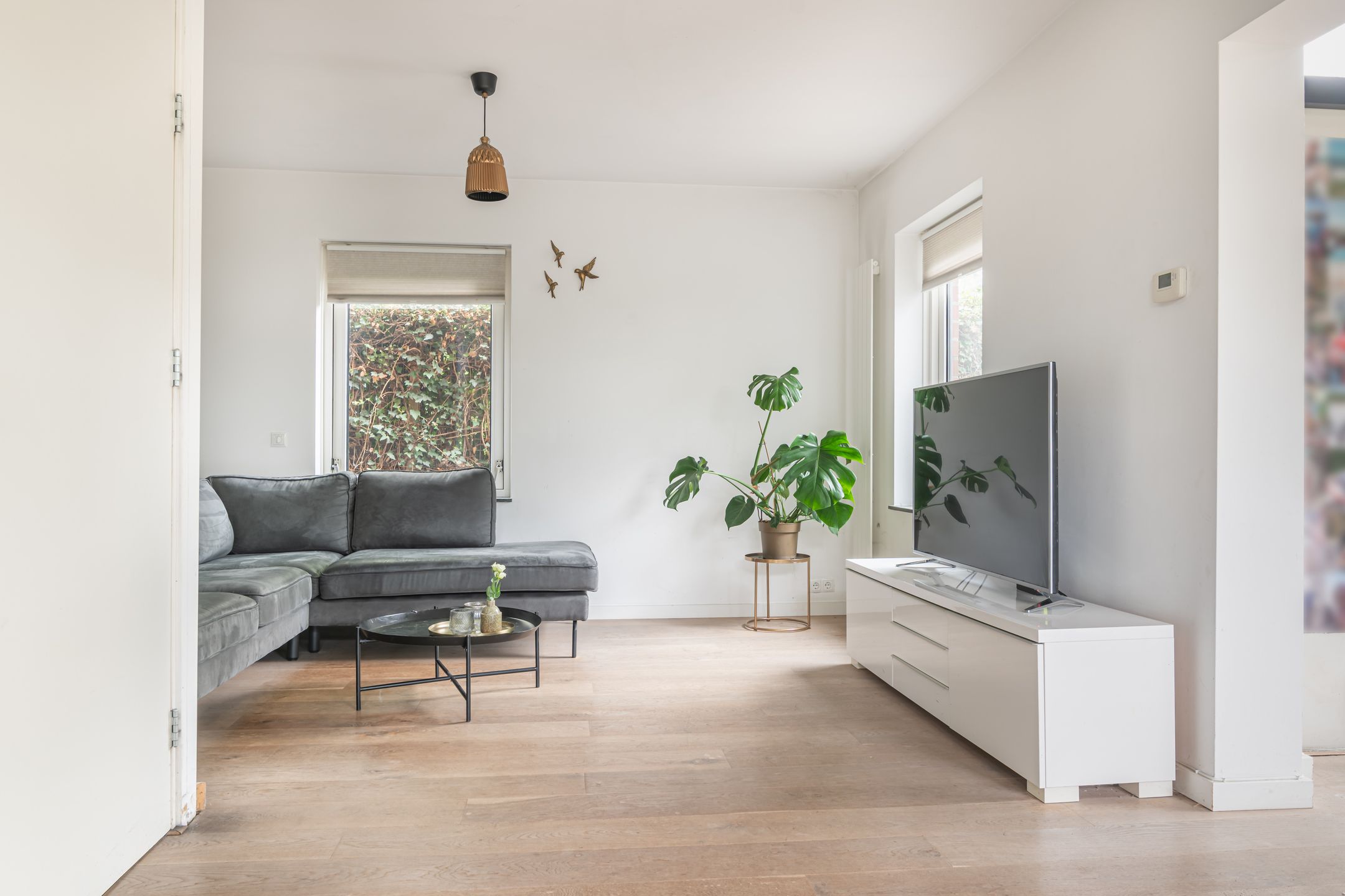 Foto 12 van Frederik van Eedenhove 14