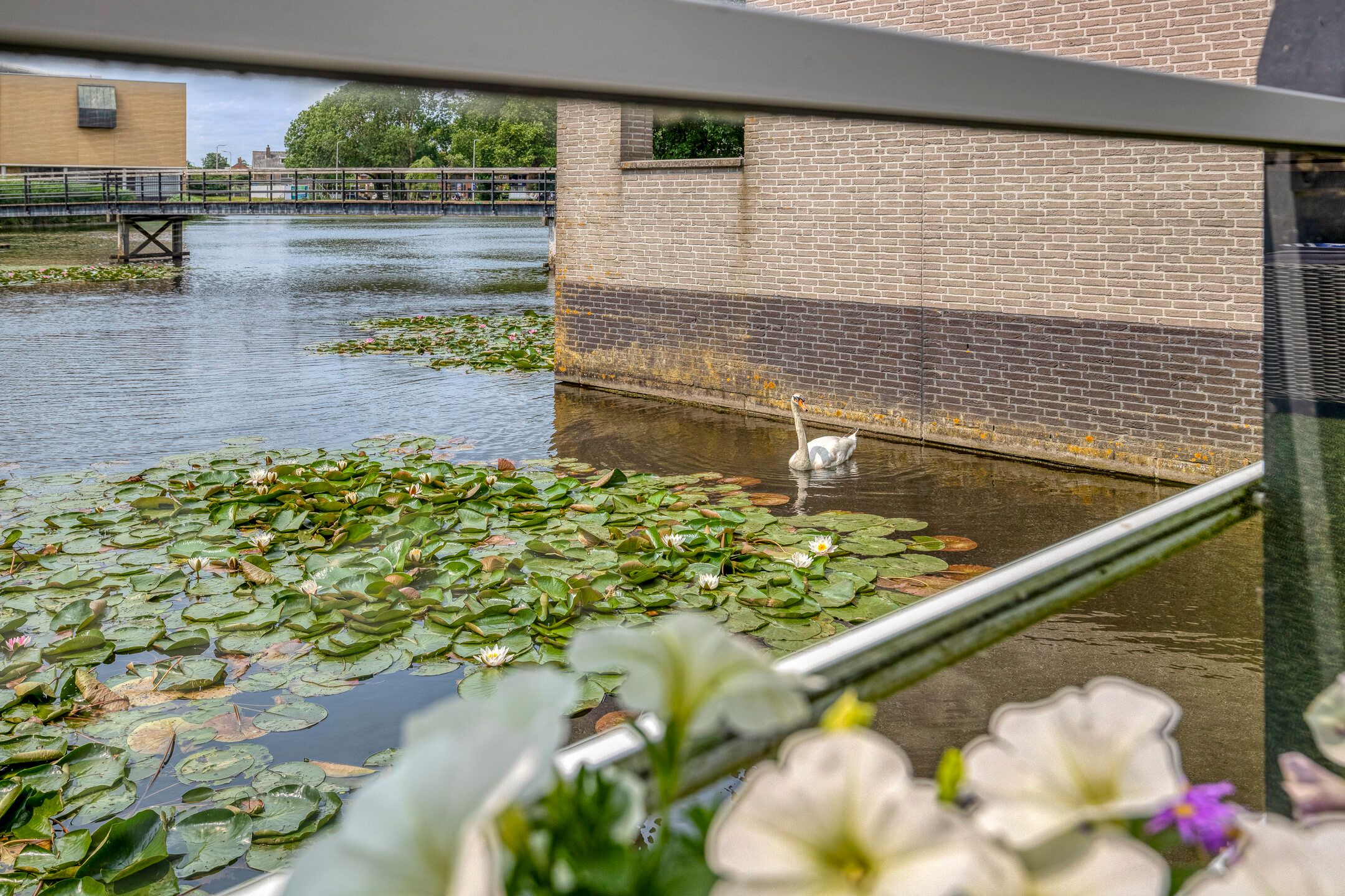 Foto 21 van P.C. Hooftsingel 66