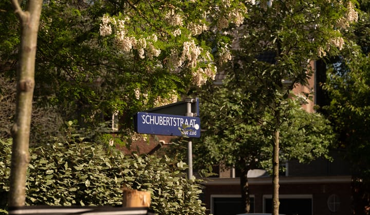 Foto 50 van Schubertstraat 74