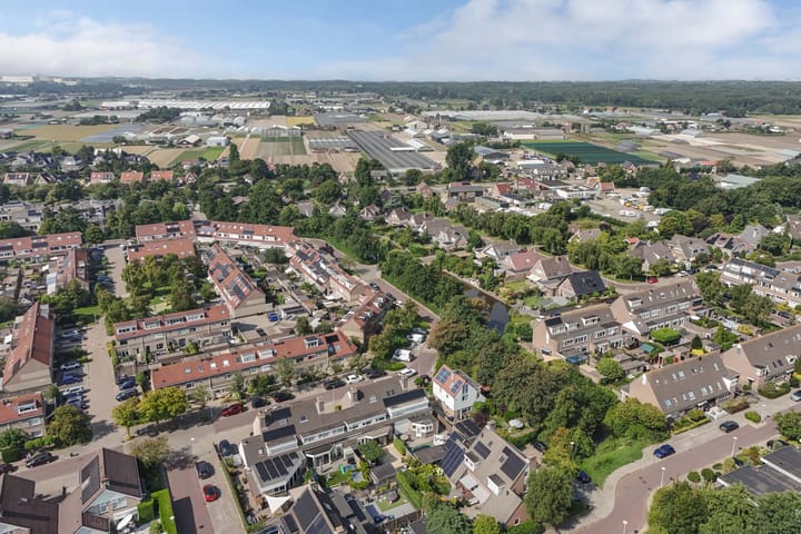 Foto 41 van Vroegeling 14