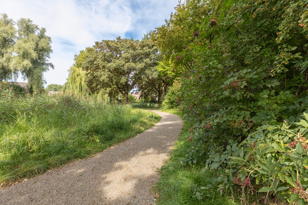 Foto 41 van Torenmolen 59