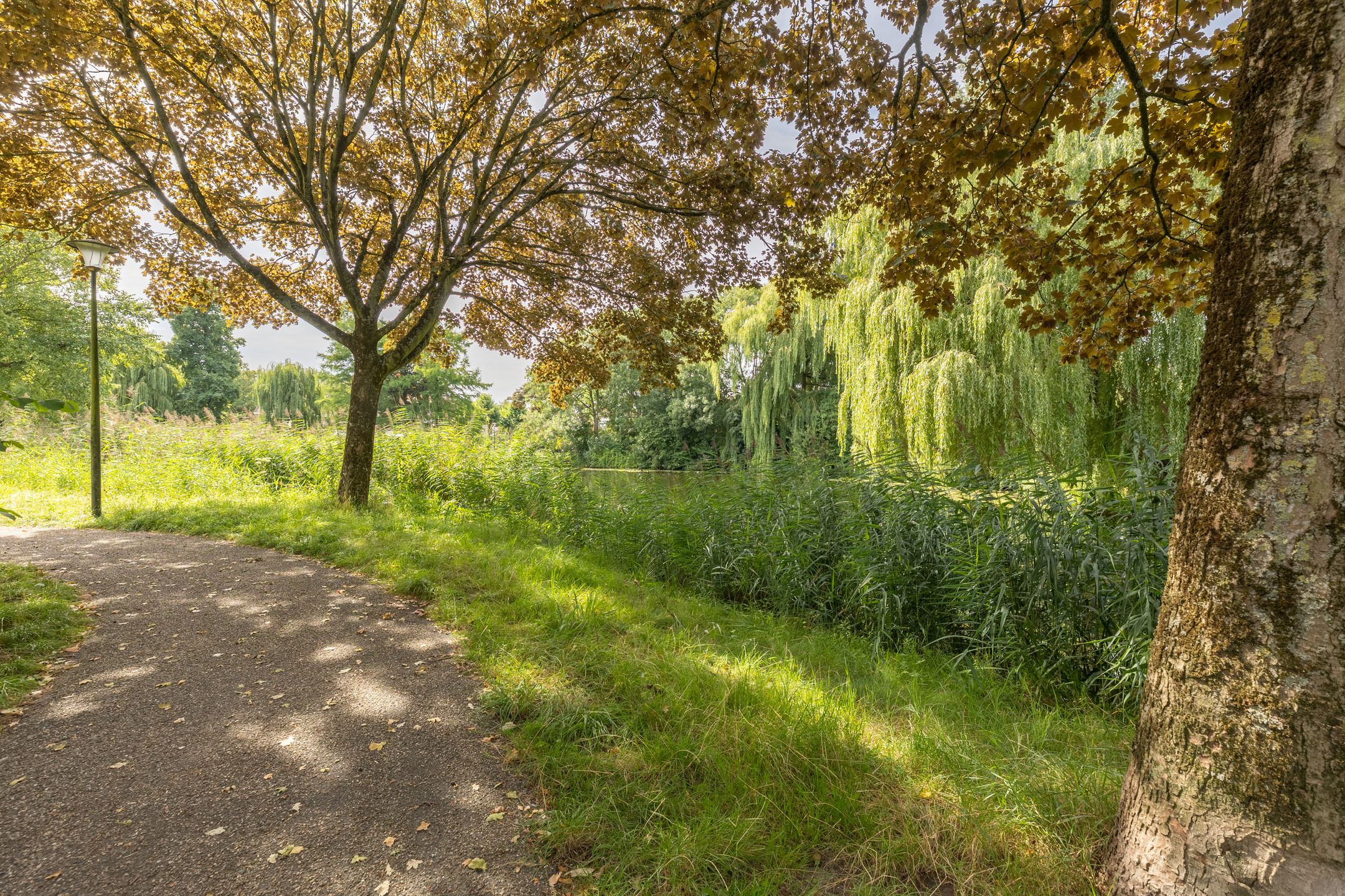 Foto 42 van Torenmolen 59