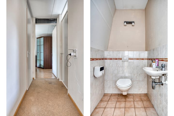 Photo 21 of Goudvink 3