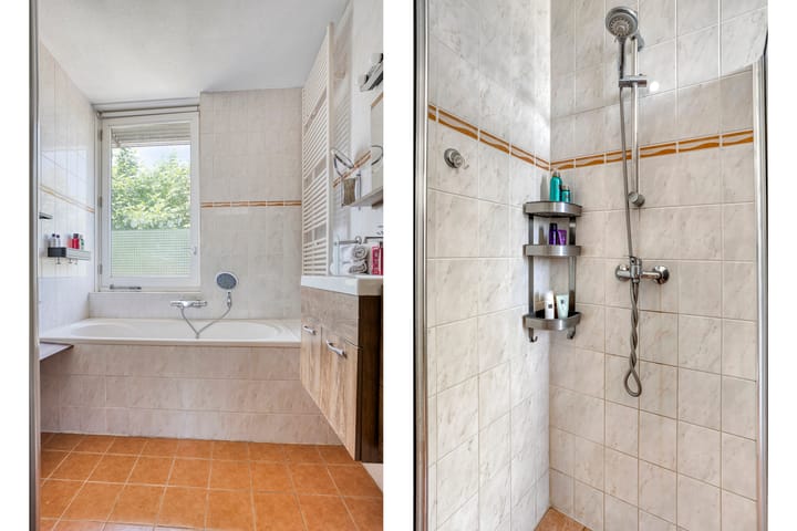 Photo 31 of Goudvink 3