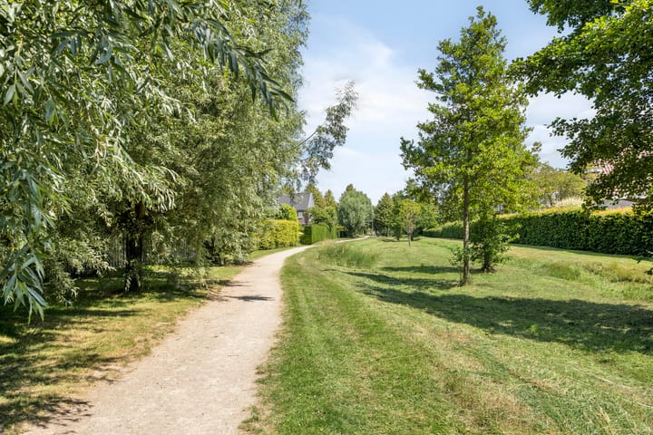 Photo 46 of Goudvink 3