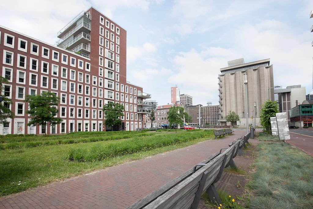 Foto 43 van Maashavenweg 172