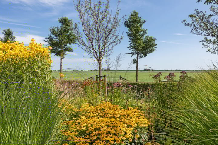 Foto 3 van Hoofdweg 112