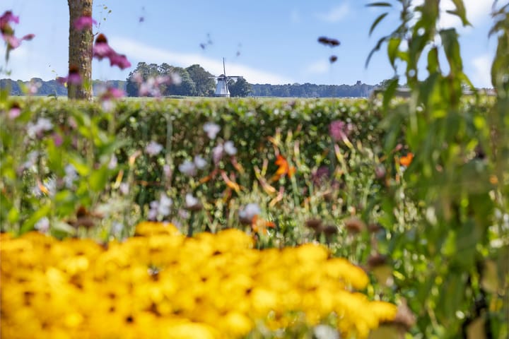 Foto 11 van Hoofdweg 112