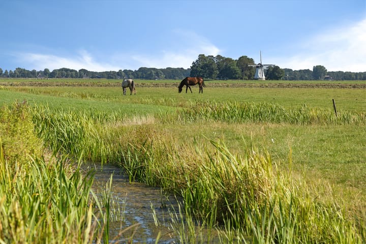 Foto 12 van Hoofdweg 112