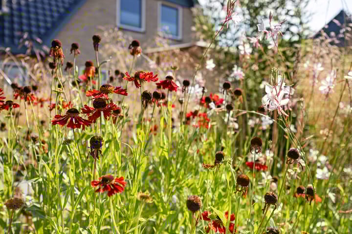 Foto 41 van Hoofdweg 112