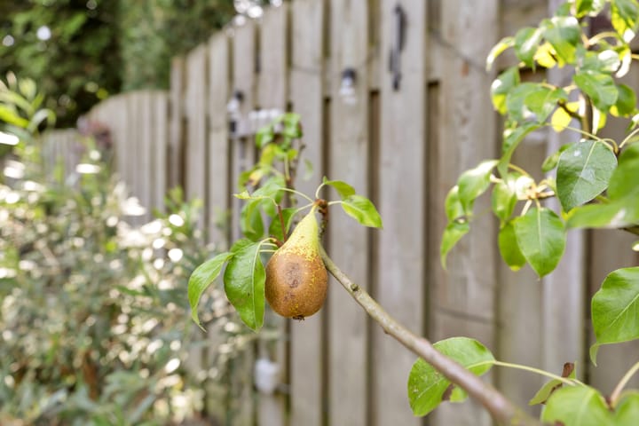 Foto 44 van Hintham 93