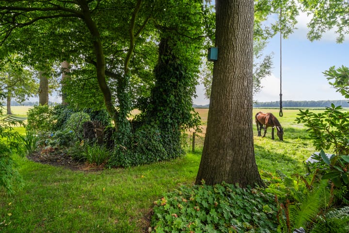 Foto 31 van Bosweg 11