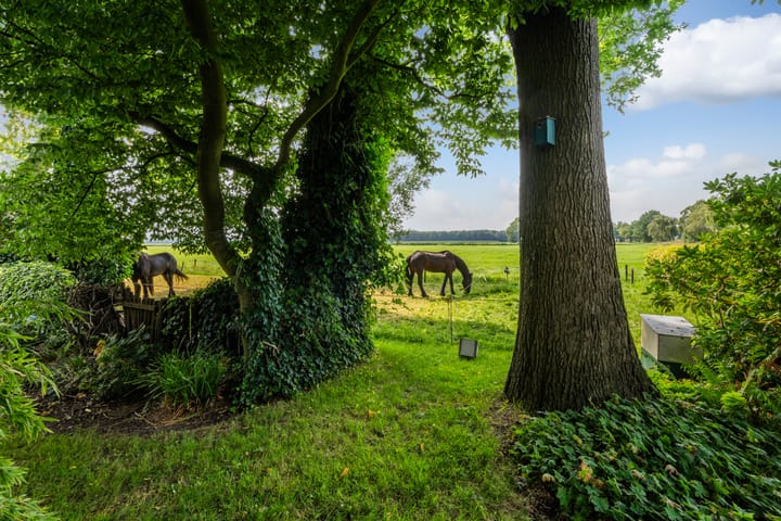 Foto 33 van Bosweg 11