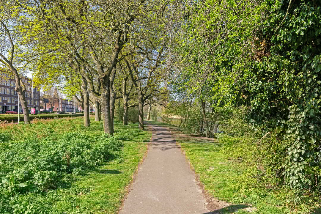 Foto 37 van Bergweg 49-D