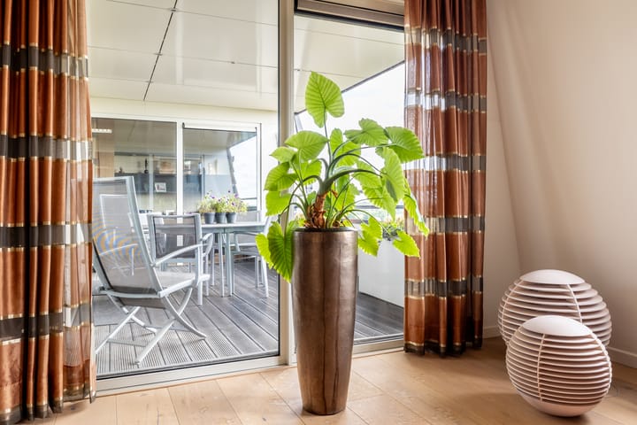 Foto 19 van Laan der Continenten 17