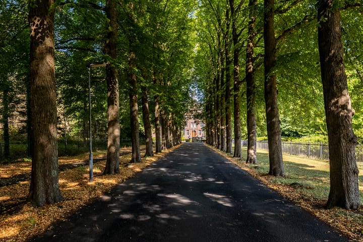 Foto 40 van Laan der Continenten 17