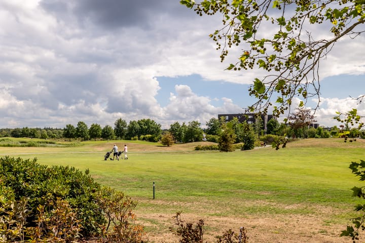 Foto 41 van Laan der Continenten 17