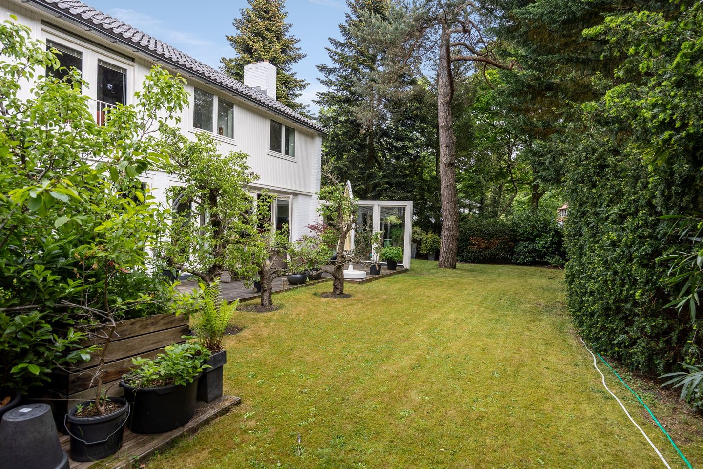 Photo 5 of Curaçaolaan 26