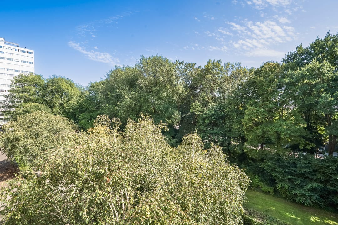 Foto 11 van Van Nijenrodeweg 557