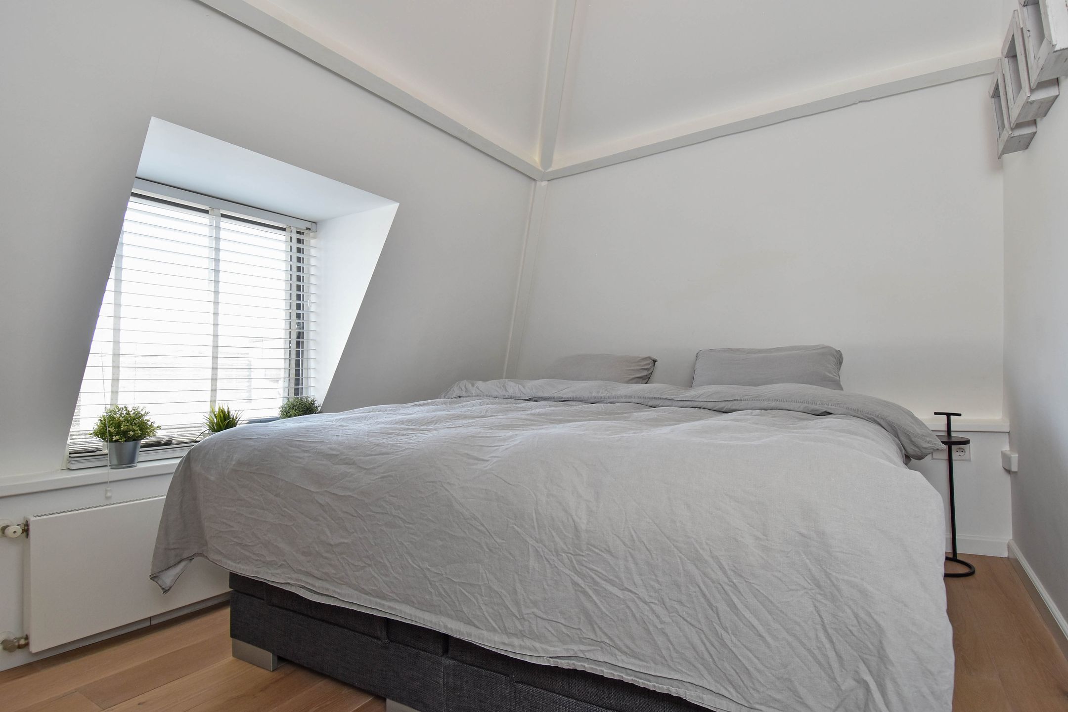 Foto 30 van Molstraat 23