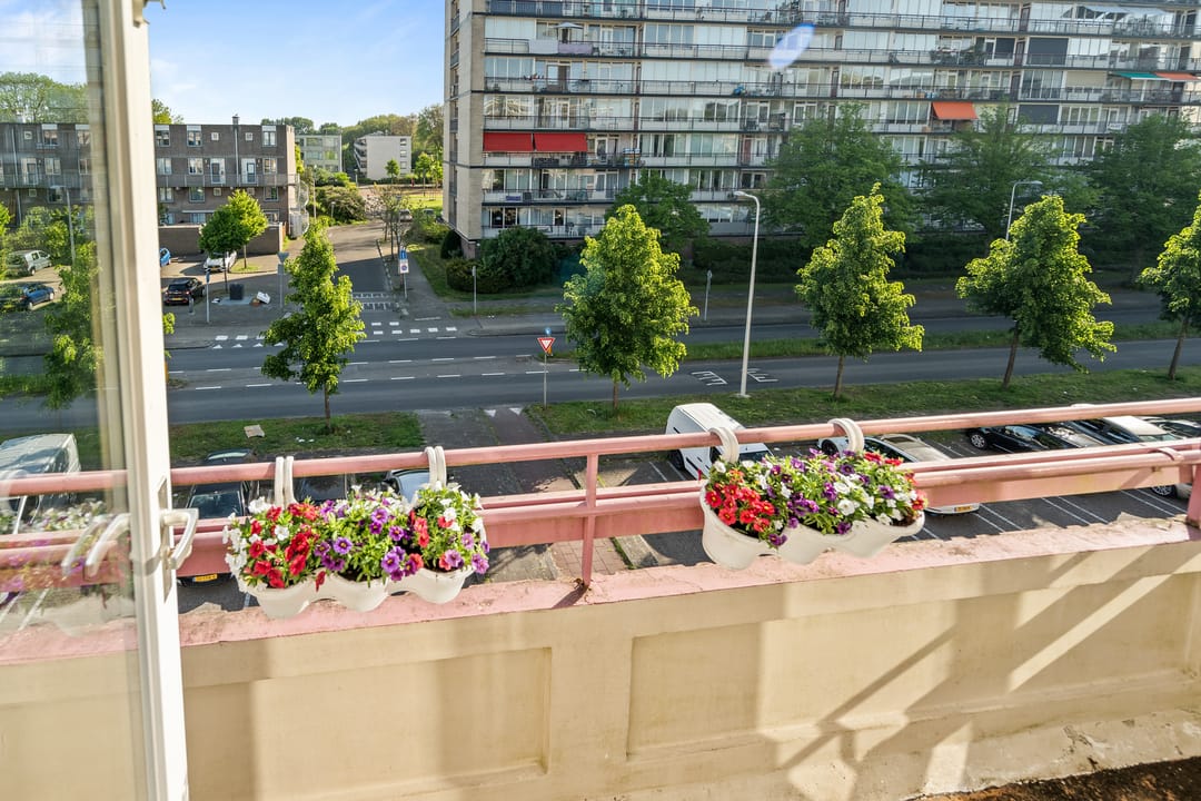 Foto 26 van Moezeldreef 93