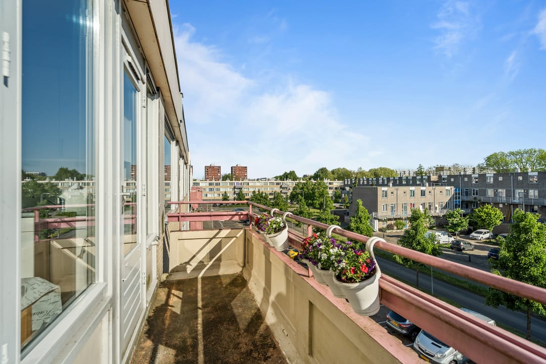 Foto 28 van Moezeldreef 93