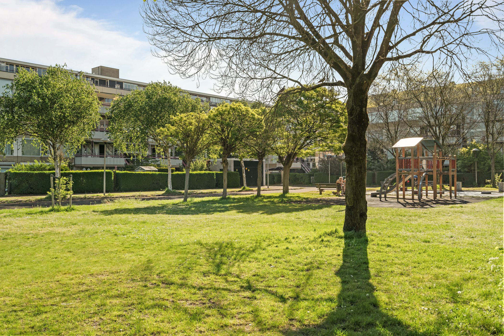 Foto 36 van Moezeldreef 93