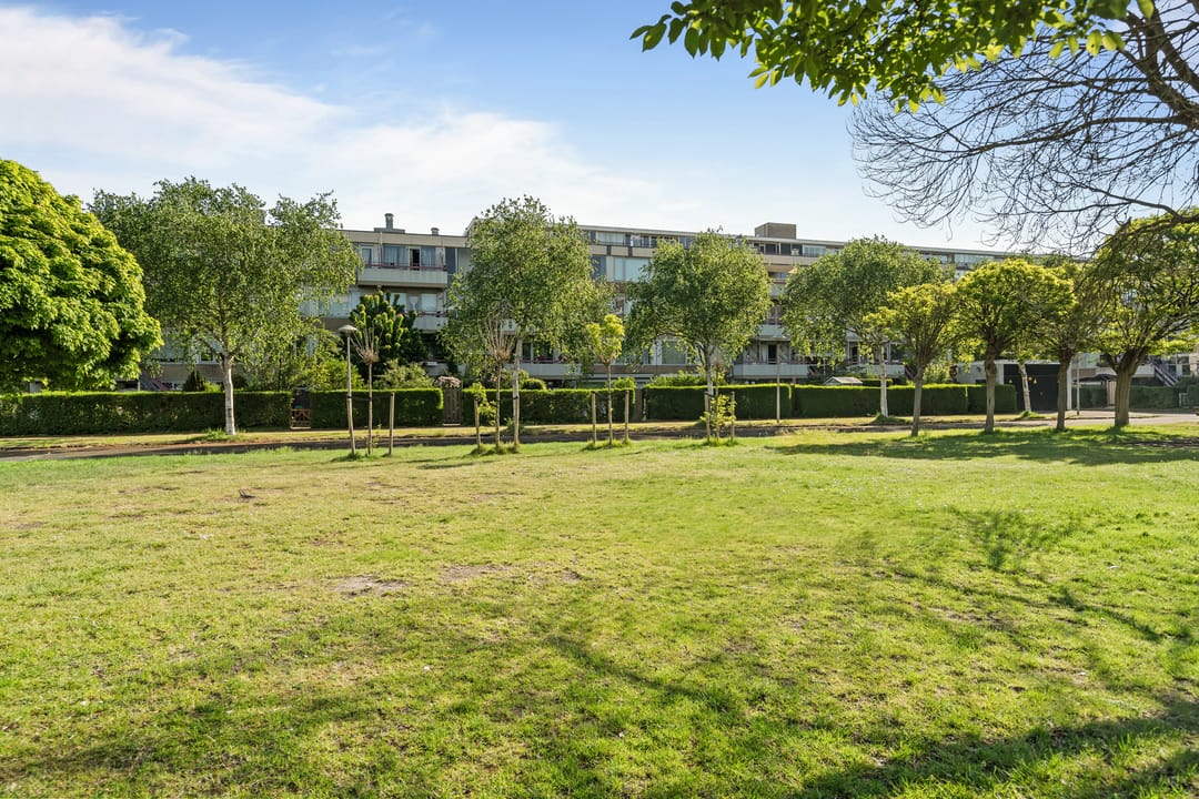 Foto 37 van Moezeldreef 93