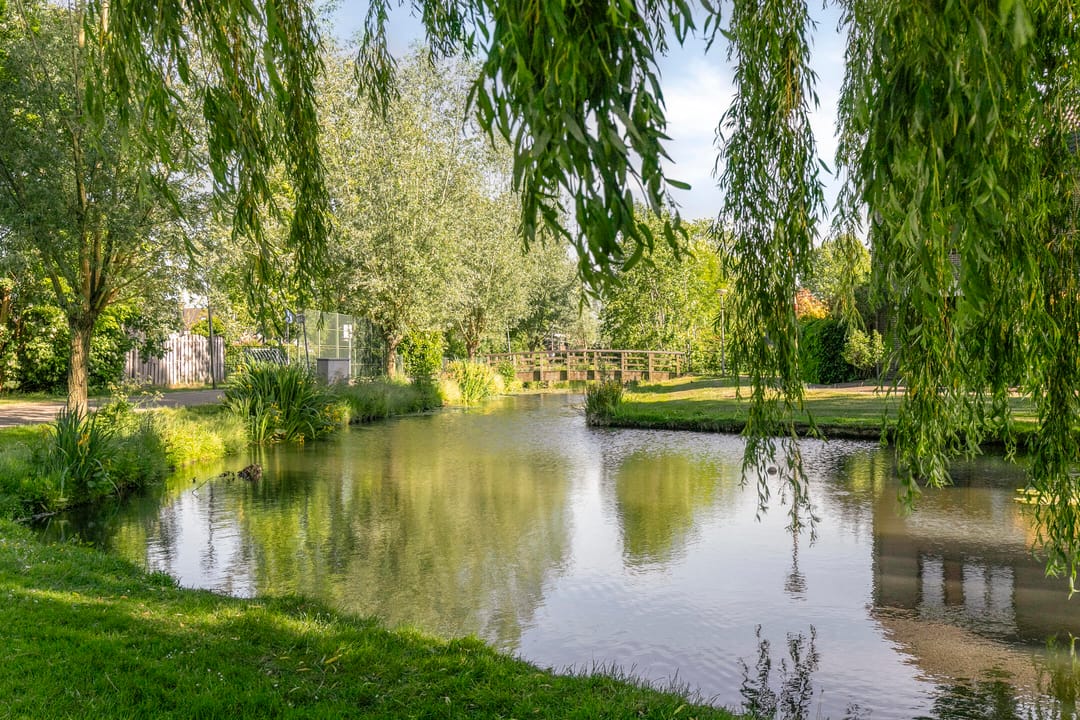 Foto 37 van Twijnen 33