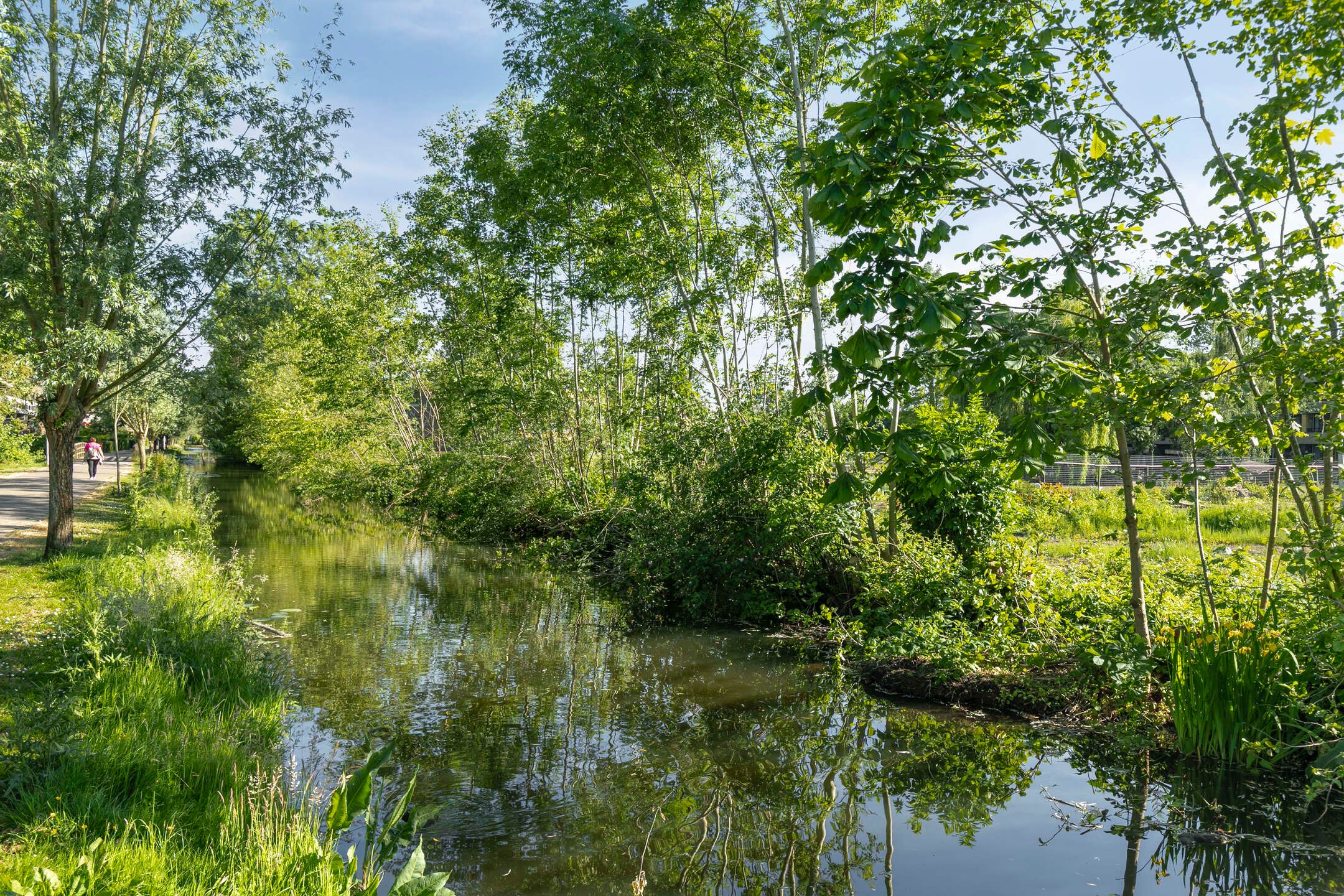 Foto 39 van Twijnen 33