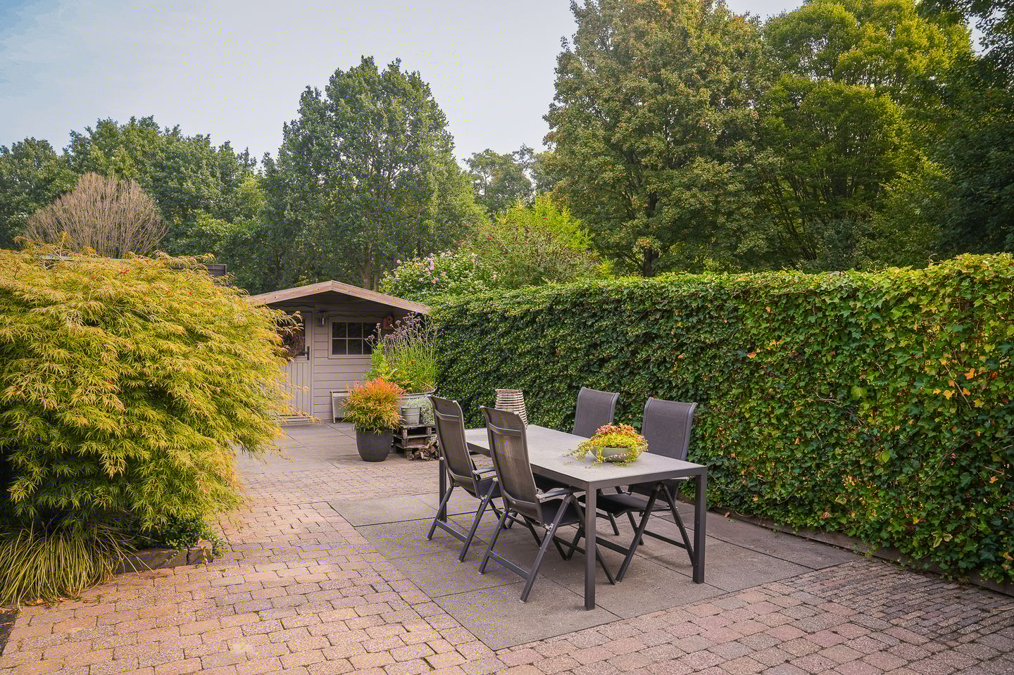 Foto 5 van Bussenbongerd 4