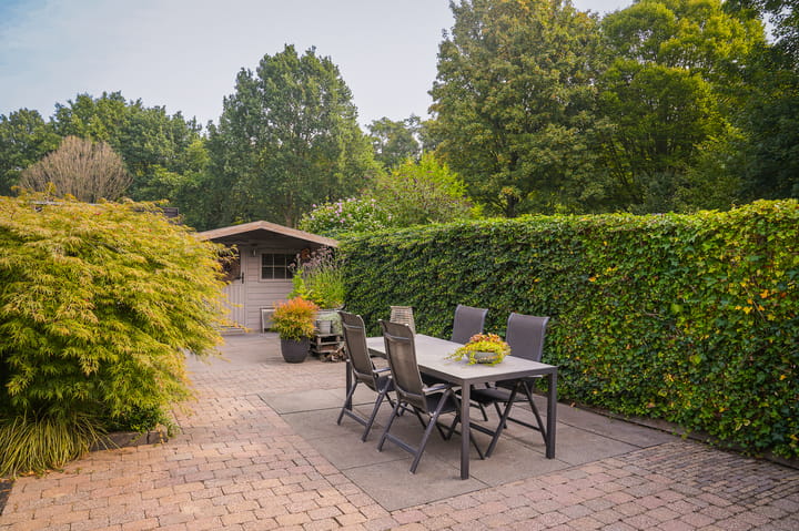 Foto 5 van Bussenbongerd 4