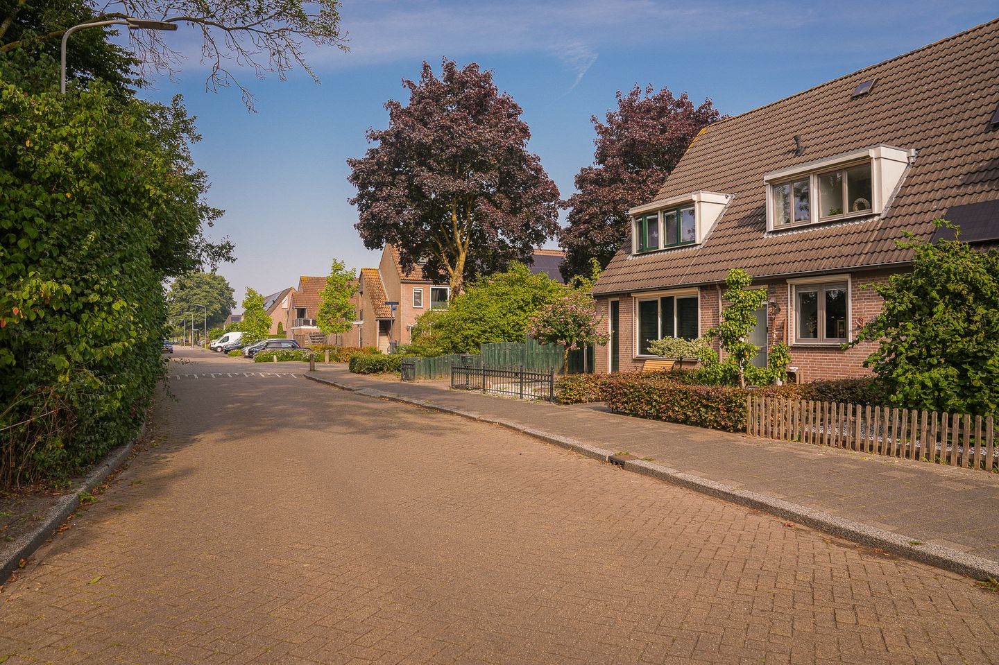 Foto 34 van Bussenbongerd 4