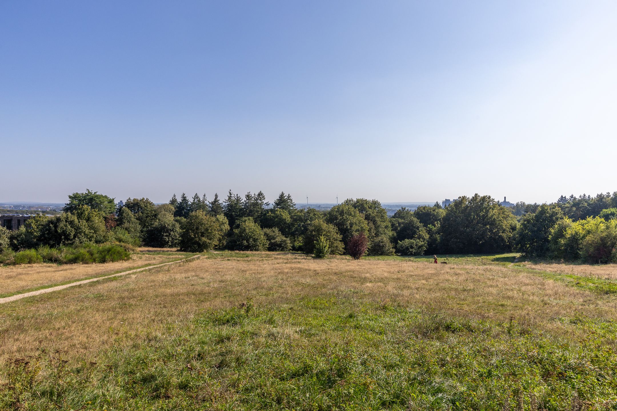 Foto 36 van Burgemeester Bloemersweg 42-3